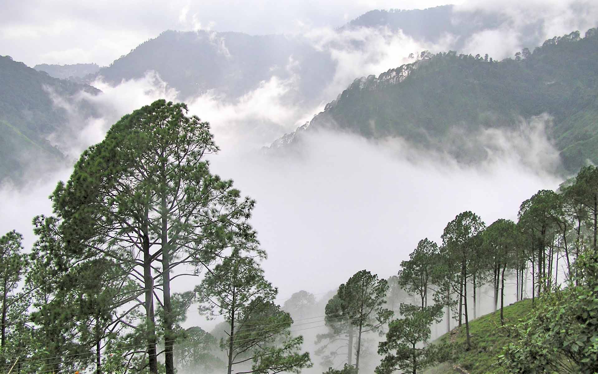 Corbett Riviera, Lansdowne