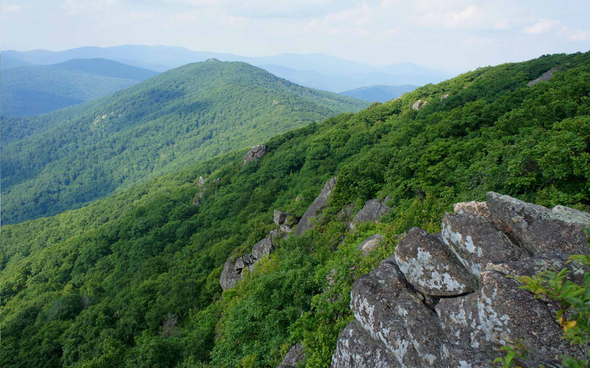 Corbett Riviera, Lansdowne